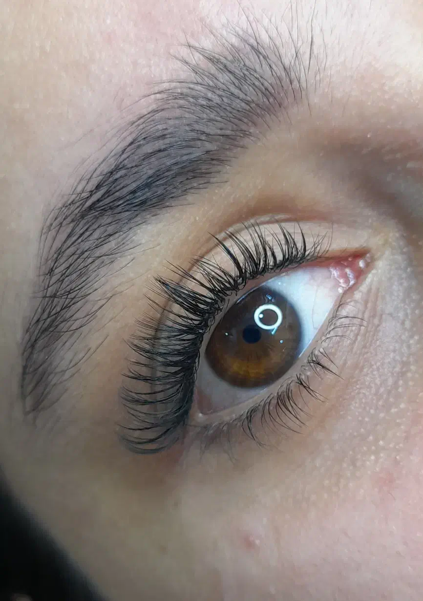 آموزش اکستنش ولیفت|خدمات آموزشی|گرگان, |دیوار