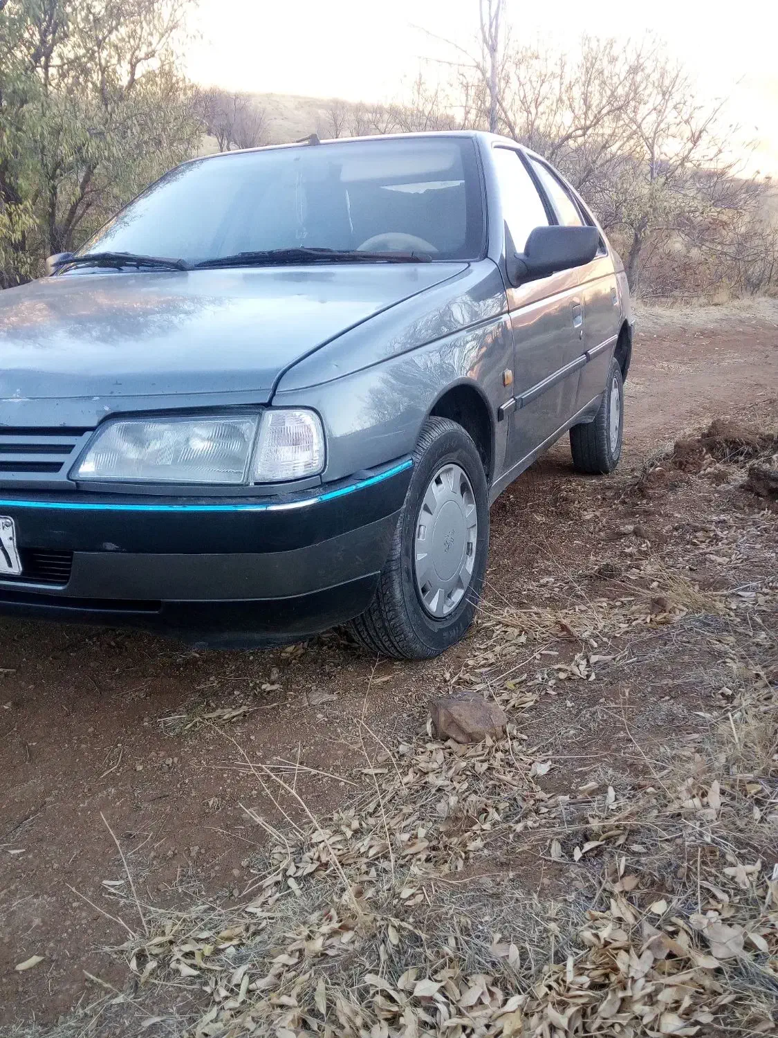 پژو|خودرو سواری و وانت|سنندج, |دیوار