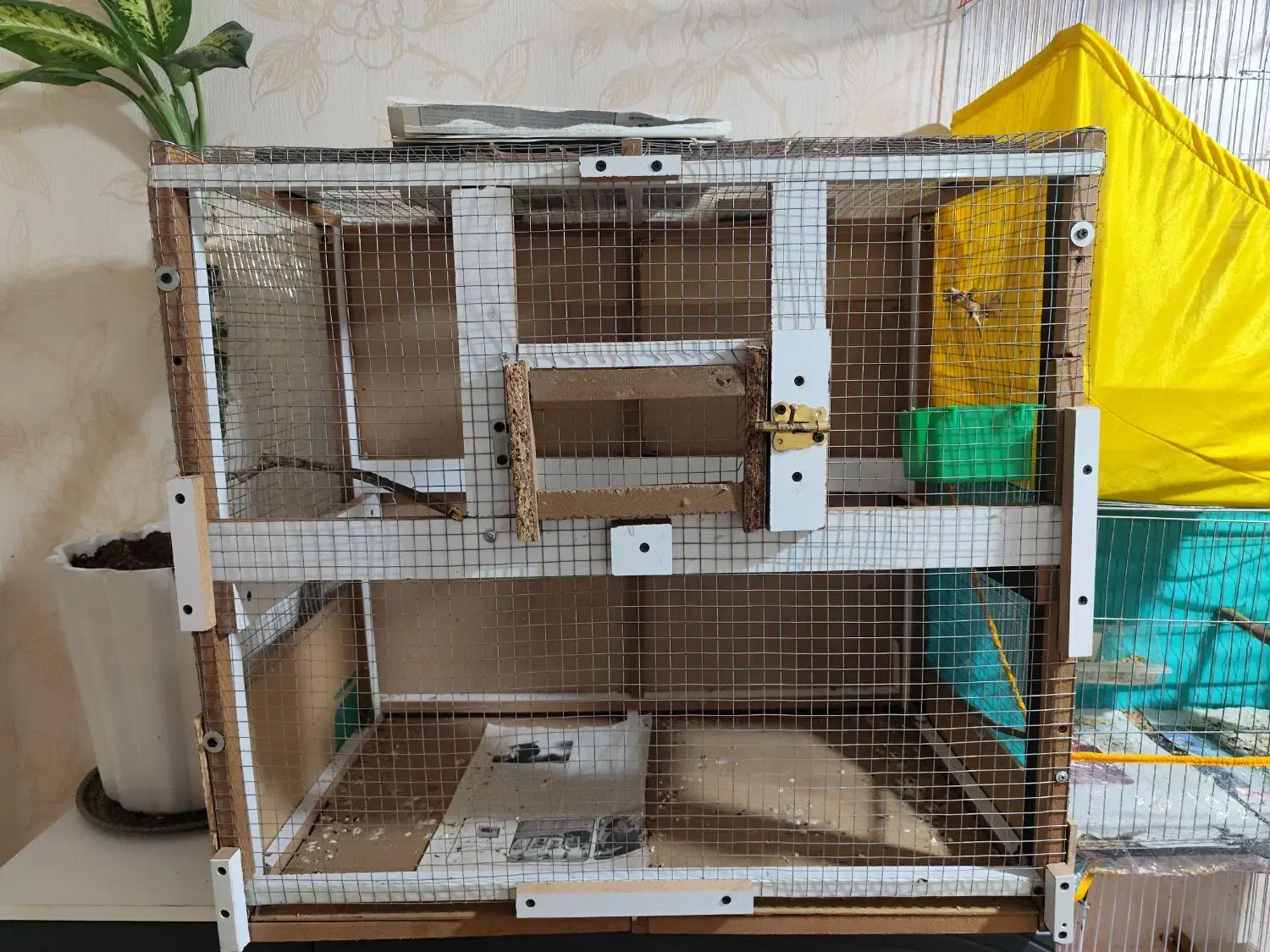 قفس|لوازم جانبی حیوانات|بندرعباس, |دیوار