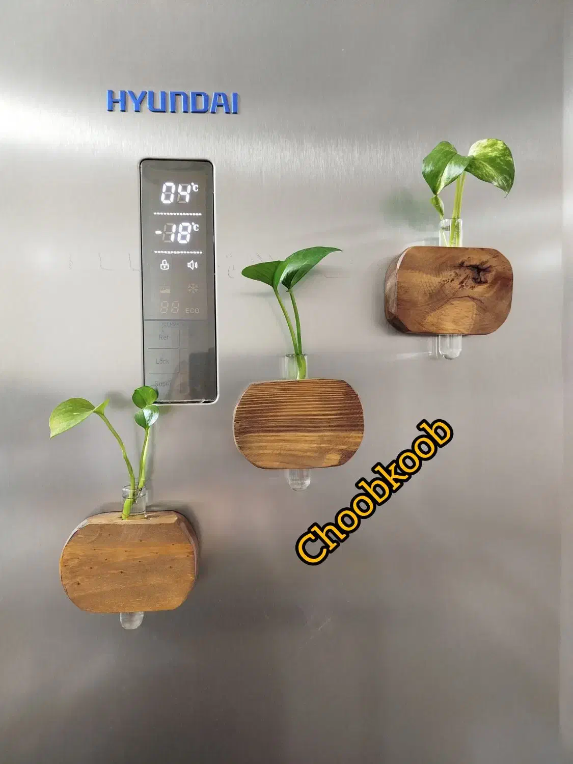 استند گل|گل و گیاه طبیعی|قم, ولیعصر|دیوار