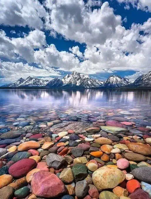 توجه توجه|پرنده|بلبان آباد, |دیوار