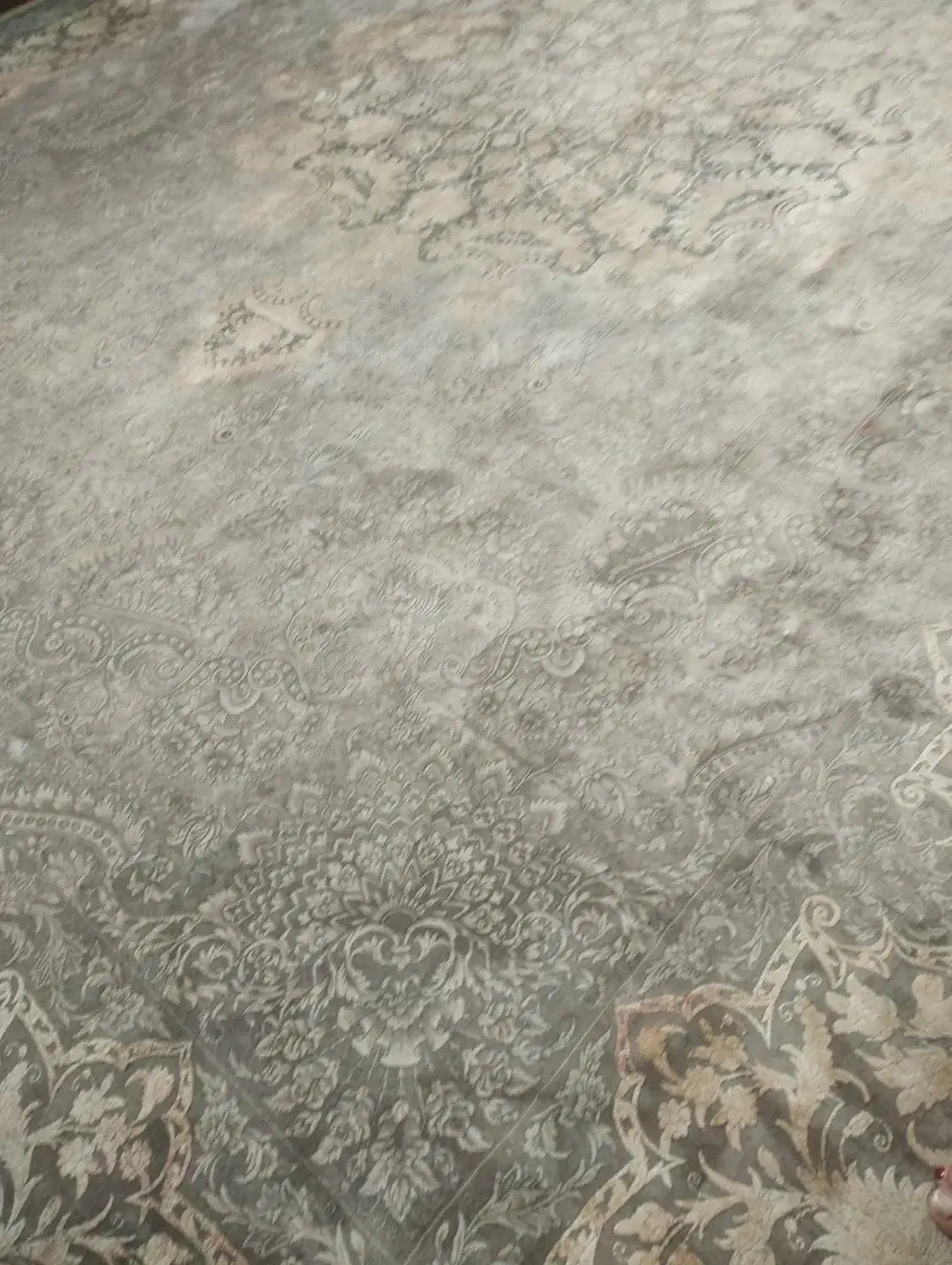 قالی 12متری|فرش|بندر امام خمینی, |دیوار