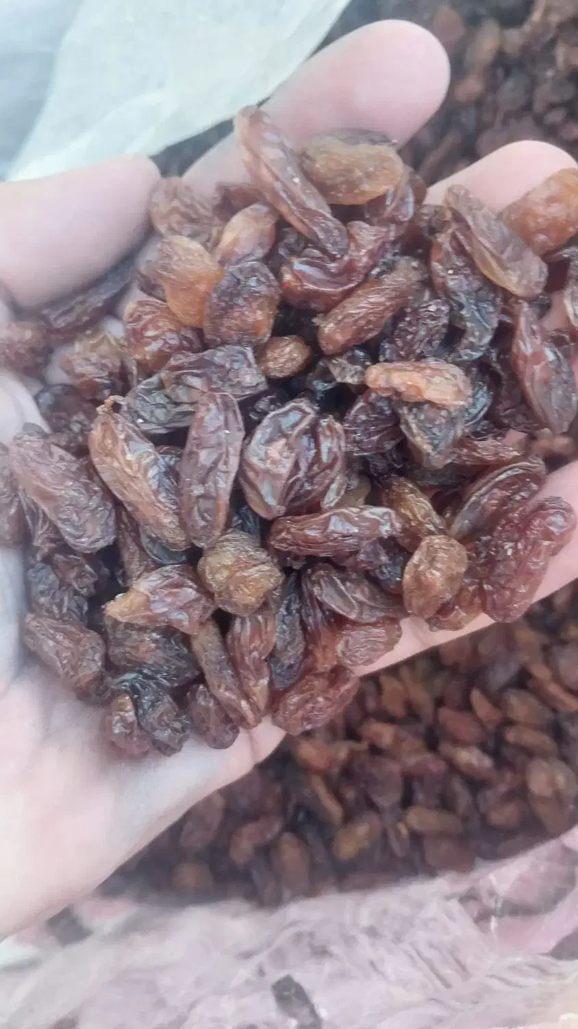 کشمش خوردنی درجه یک|خوردنی و آشامیدنی|یزد, |دیوار