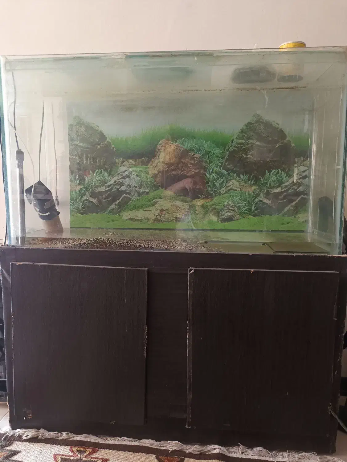 فروش آکواریوم با لوازم کامل|ماهی|اصفهان, شهرک امام زمان|دیوار