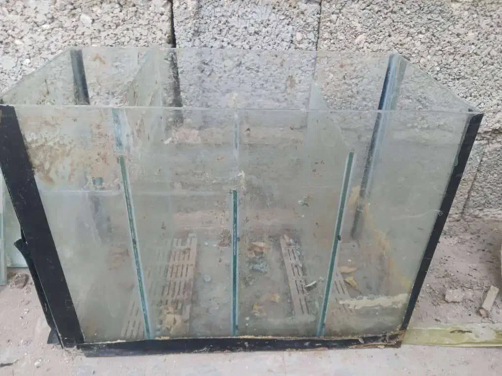 اکواریم بزرگ با پایه|ماهی|شبانکاره, |دیوار