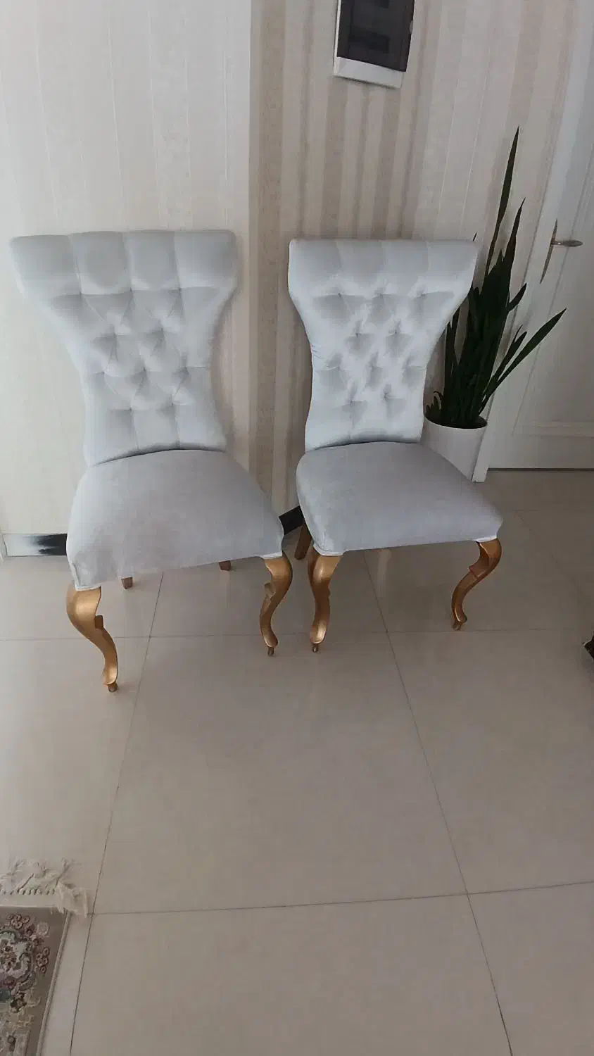 نهار خوری ۸ نفره|میز و صندلی غذاخوری|مشهد, سید رضی|دیوار