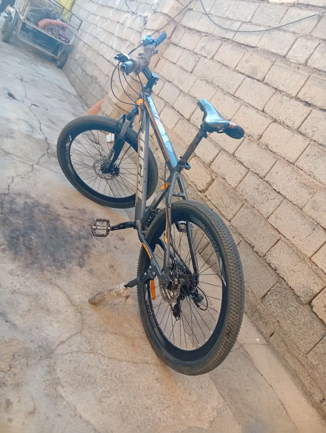 دوچرخه ۲۹|دوچرخه، اسکیت، اسکوتر|میاندوآب, |دیوار