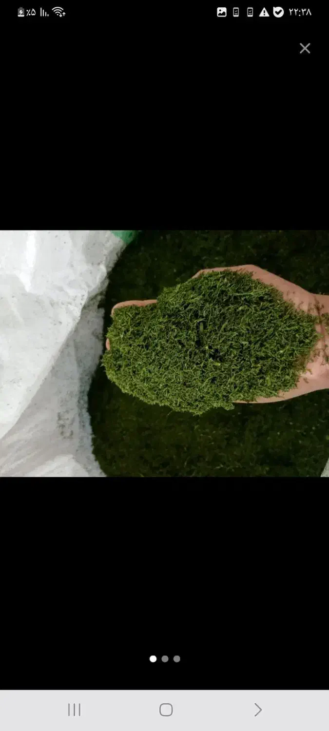 شوید خشک|ماهی|بهبهان, |دیوار