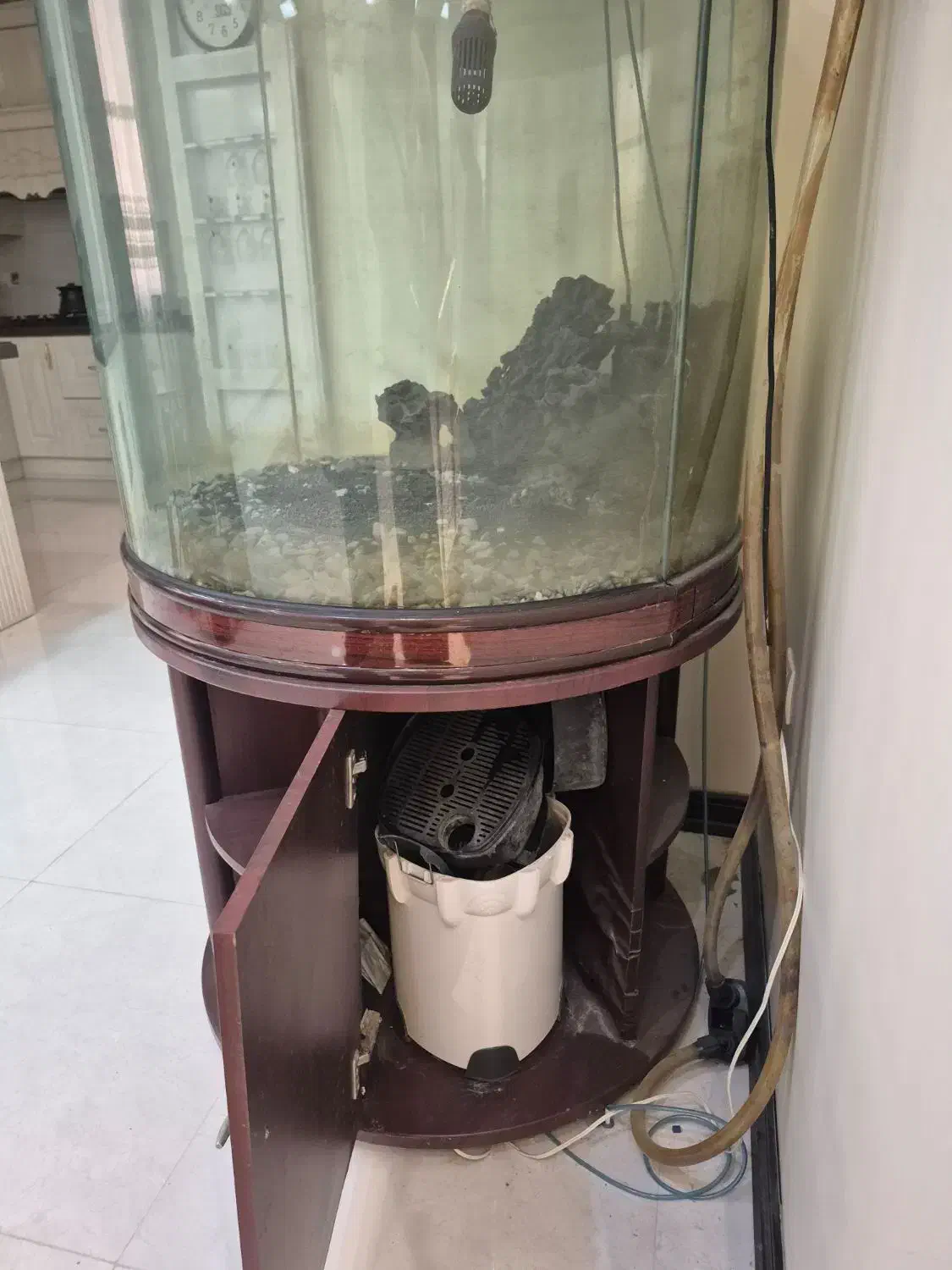 آکواریوم|ماهی|بندرعباس, |دیوار