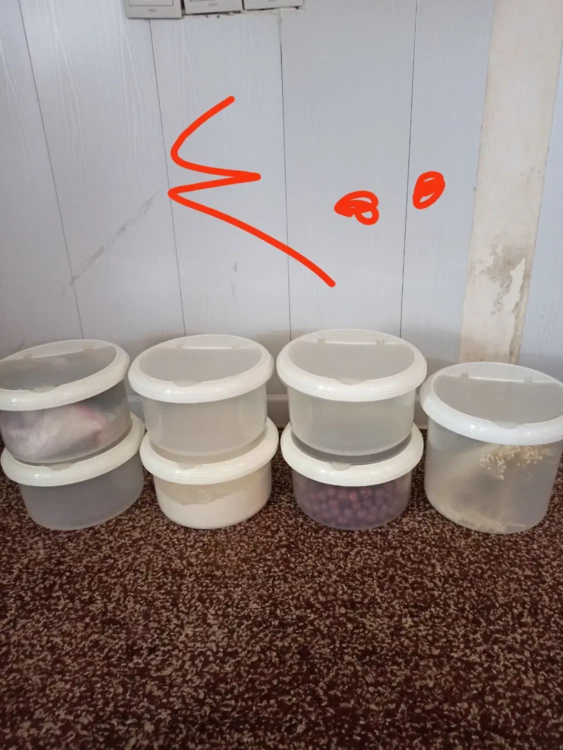 جا حبوبات|ظروف نگهدارنده، پلاستیکی، یک‌بارمصرف|ایلام, |دیوار