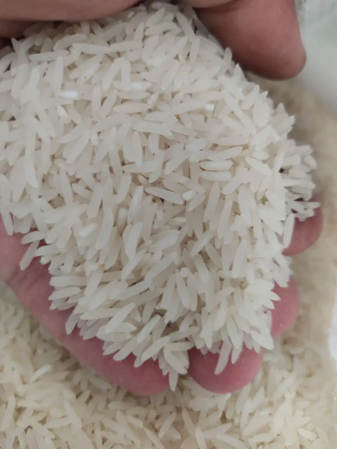 برنج اعلا عالی وخوب|خوردنی و آشامیدنی|مهدی شهر, |دیوار