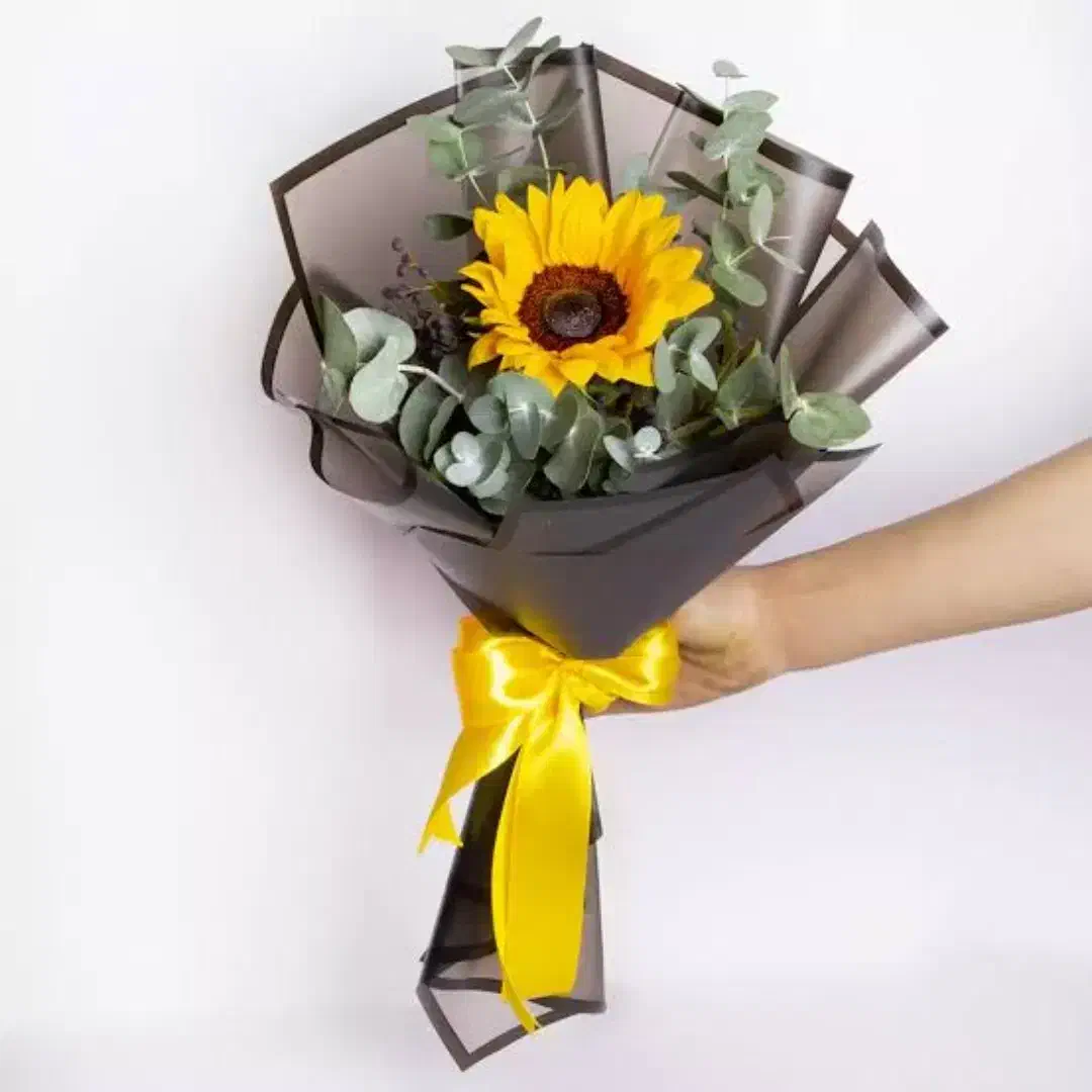 راهنمایی|فعالیت داوطلبانه|صومعهسرا, |دیوار