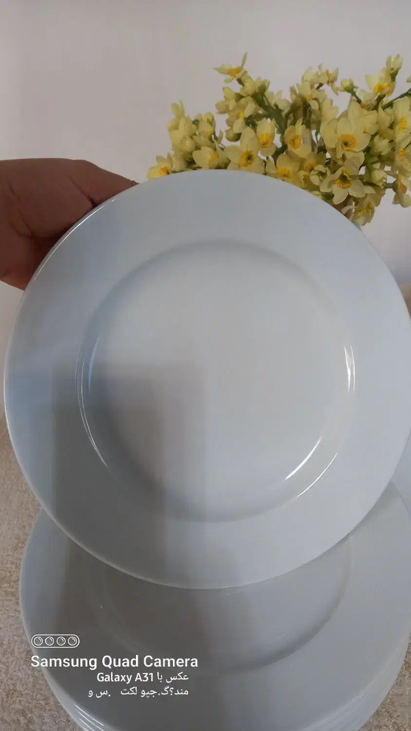 سرویس چینی|ظروف سرو و پذیرایی|رشت, کوی حسینی|دیوار