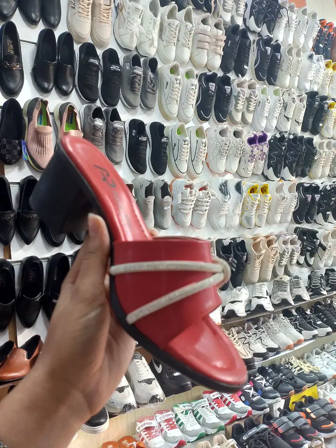 دمپای مجلسی|کیف، کفش، کمربند|مریوان, |دیوار