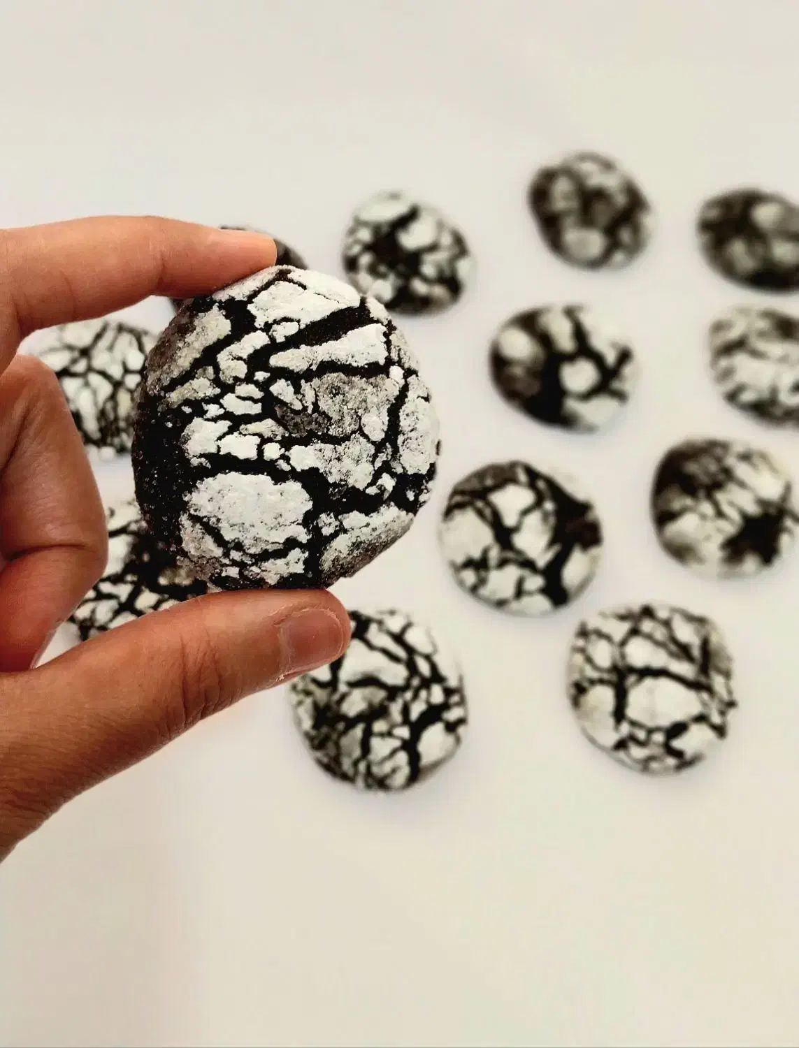 سفارش انواع کوکی|خوردنی و آشامیدنی|سبزوار, سجاد|دیوار