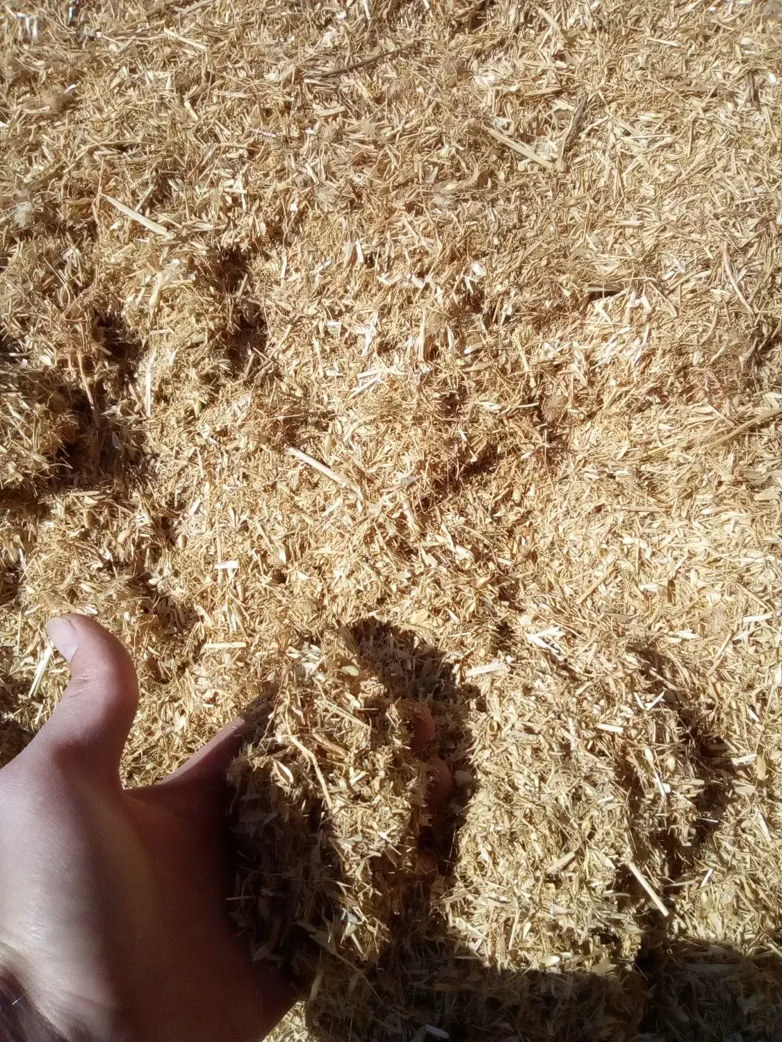 کاه|عمده‌فروشی|شراء, |دیوار