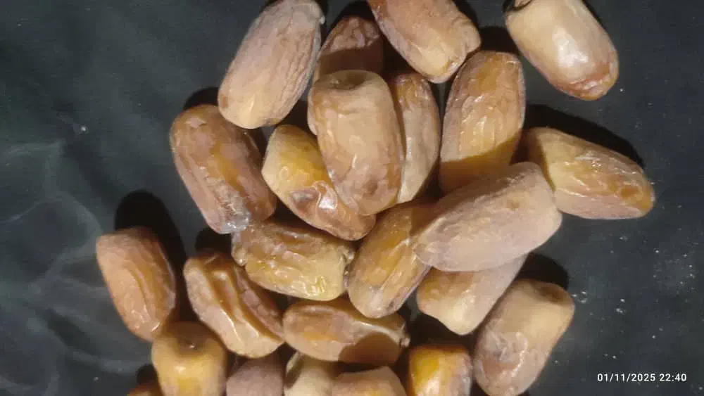 خرما خشک تازه بلوچستان|خوردنی و آشامیدنی|سراوان, |دیوار