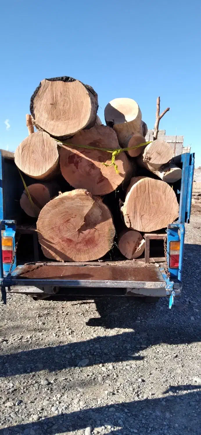 خرید چوب|خدمات باغبانی و درختکاری|شهریار, ابراهیم‌آباد|دیوار