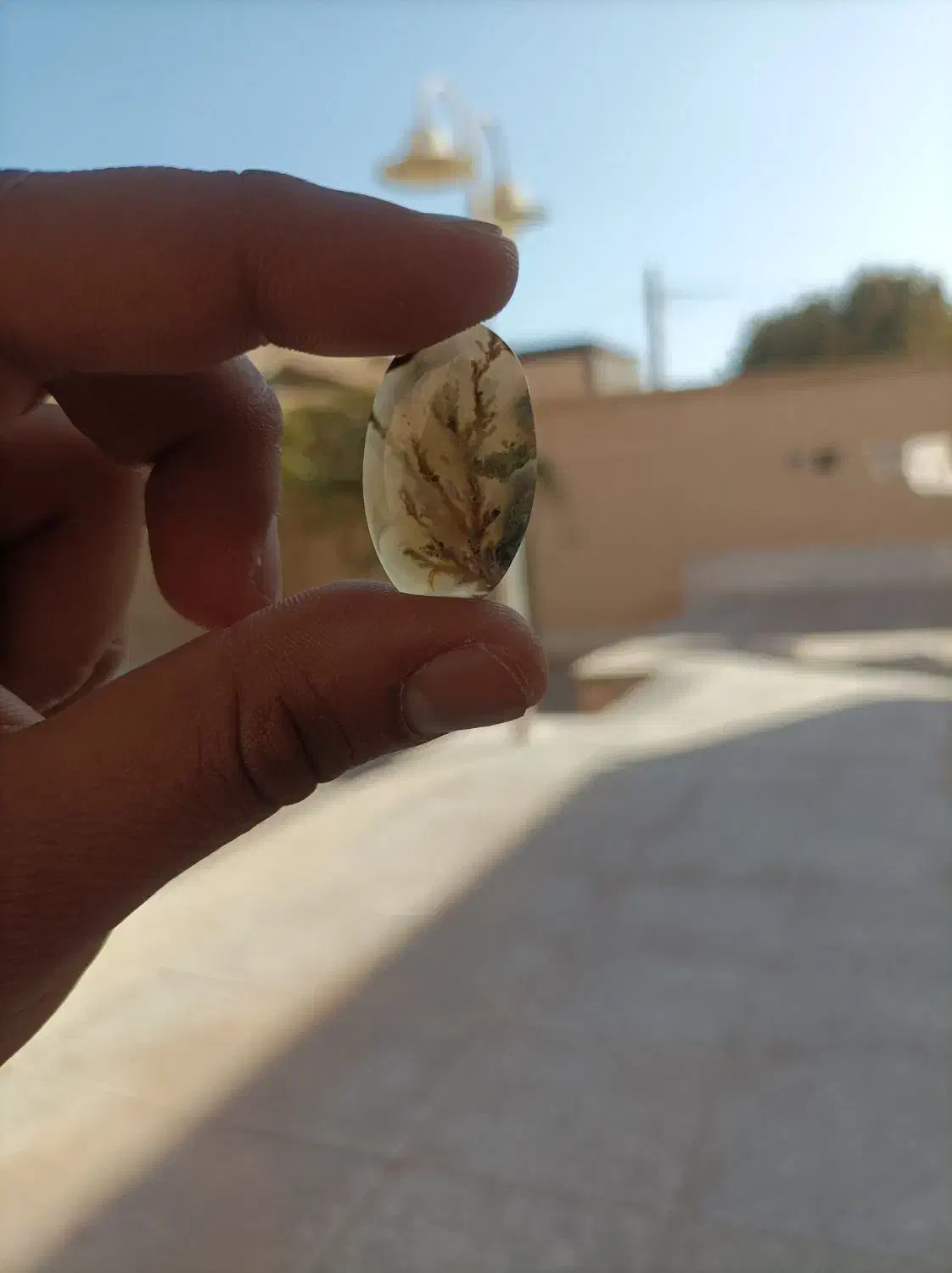 نگین شجر|کلکسیون اشیاء عتیقه|رفسنجان, |دیوار