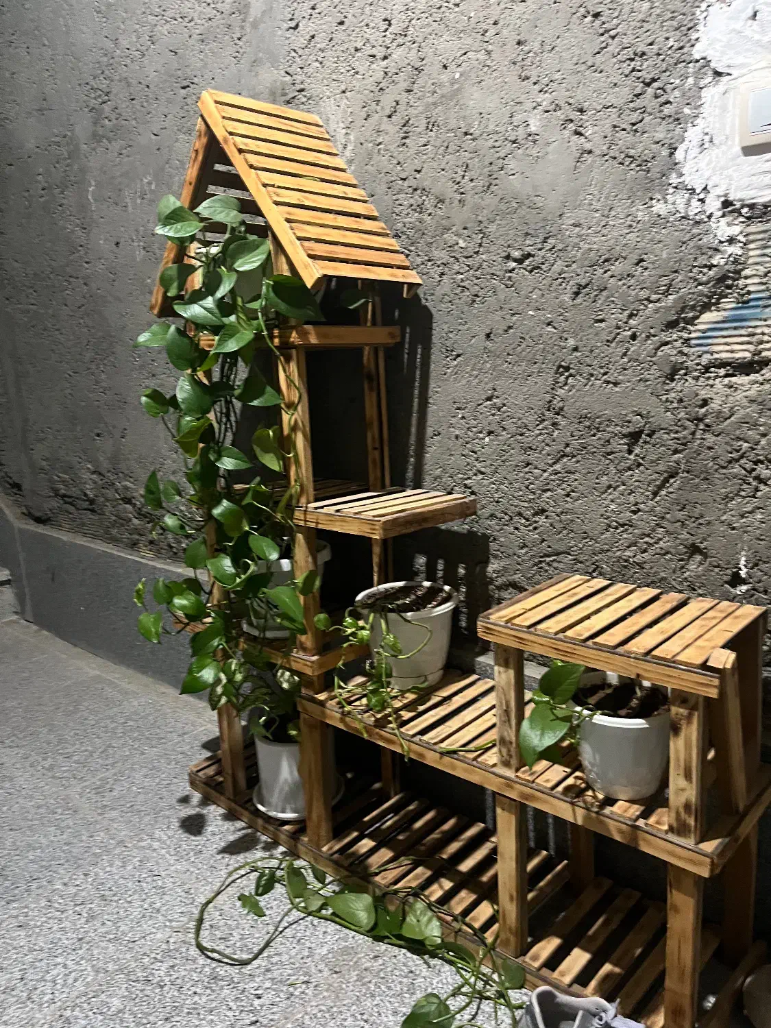 پایه گل|گل و گیاه طبیعی|جیرفت, |دیوار