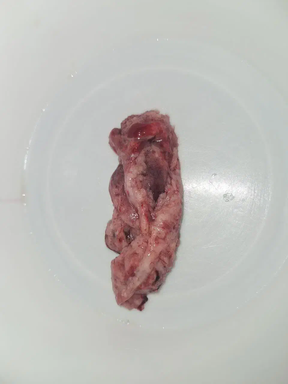 درمان قطعی و تضمینی|آرایشی، بهداشتی، درمانی|شیبکوه (هرمزگان), |دیوار