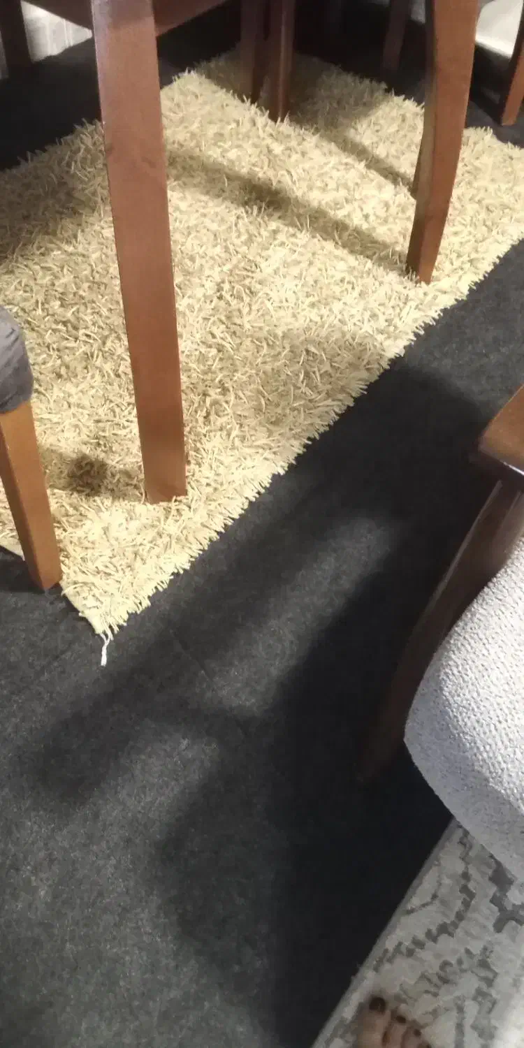 فروش قالیچه طرح ماکارون|فرش|گرگان, |دیوار