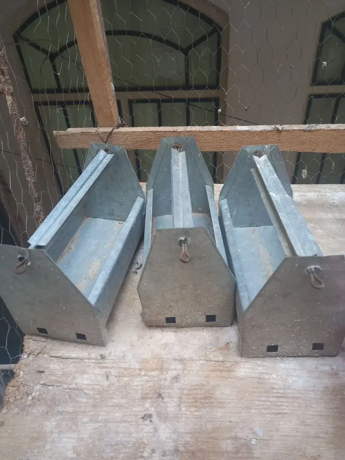 کفتر|لوازم جانبی حیوانات|قم, شهر قائم|دیوار