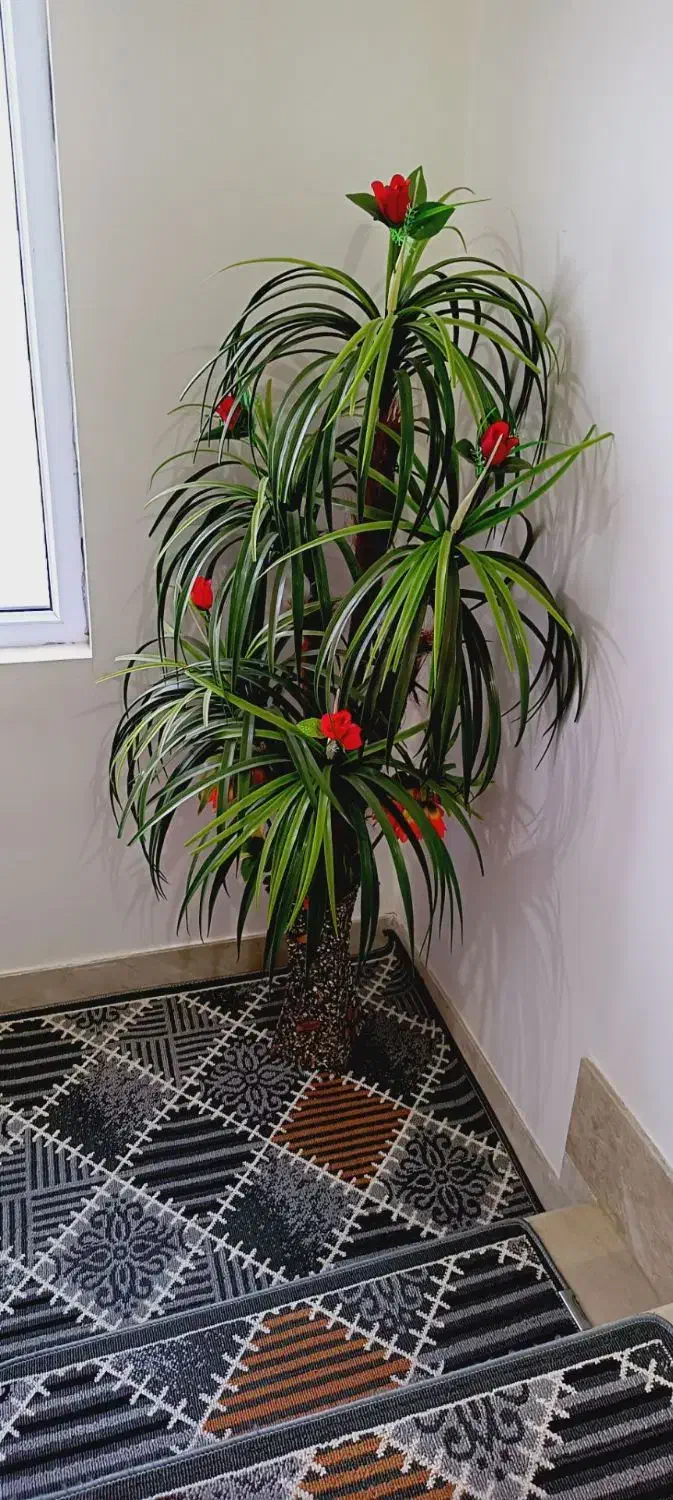 درختچه مصنوعی و جا حنا|گل مصنوعی|اردبیل, |دیوار