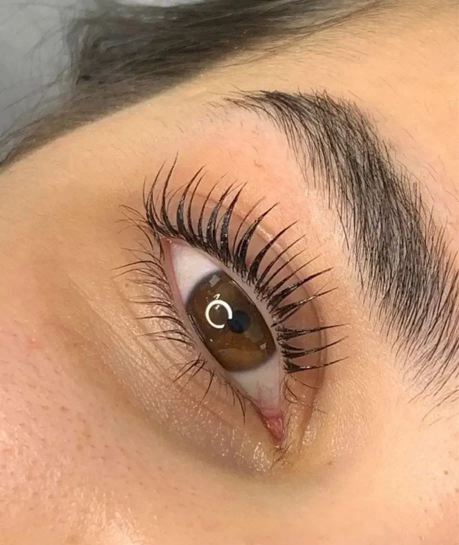 لیفت مژه و ابرو کاشت موقت|خدمات آرایشگری و زیبایی|چمستان, |دیوار