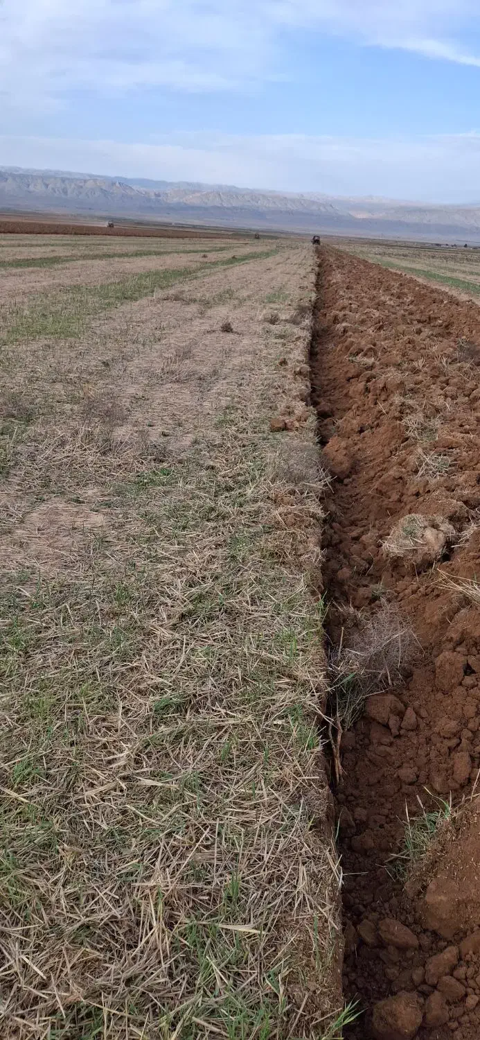 زمین دیم اجاره ای ۵۰۰ هکتار در بهتر اب و هوای قوچا|اجارهٔ دفتر صنعتی، کشاورزی، تجاری|آبکوه, |دیوار