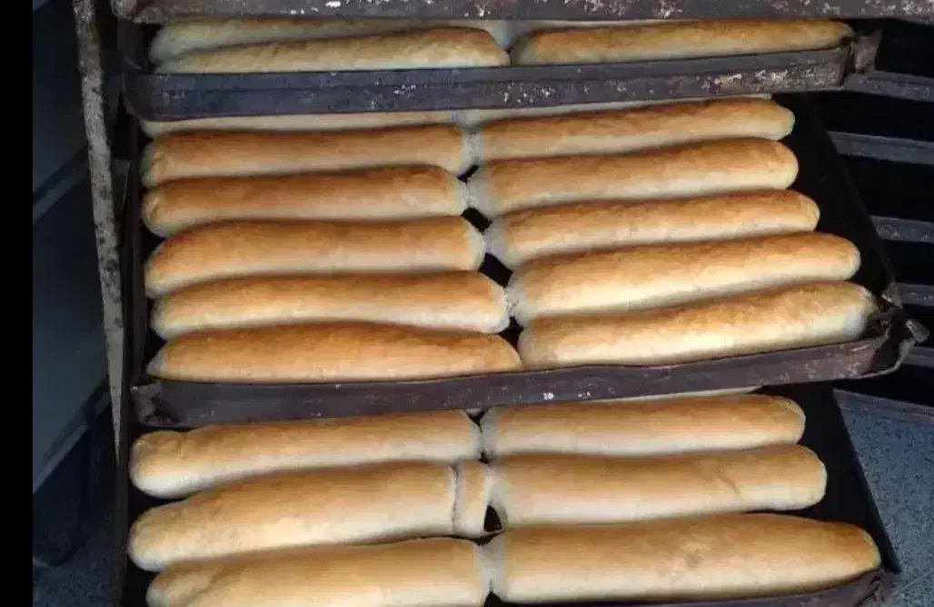 ممنونم راهنمایی کنید میخوام فلافلی بزنم|فعالیت داوطلبانه تحقیقاتی|قم, الوندیه و گذر صادق|دیوار