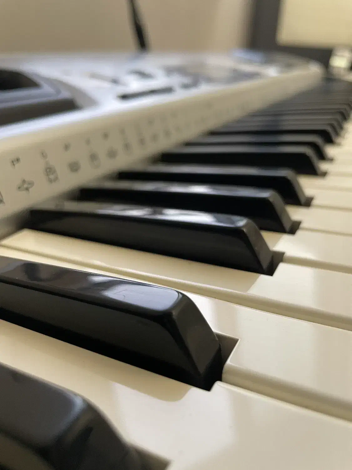 ارگ CASIO ژاپنی|پیانو، کیبورد، آکاردئون|ساوه, |دیوار