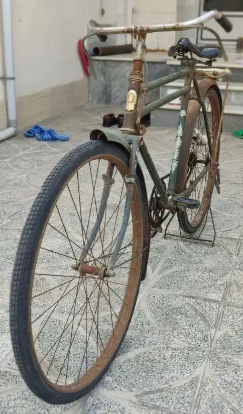 دوچرخه بزرگسال فونیکس|دوچرخه، اسکیت، اسکوتر|بندر ترکمن, |دیوار