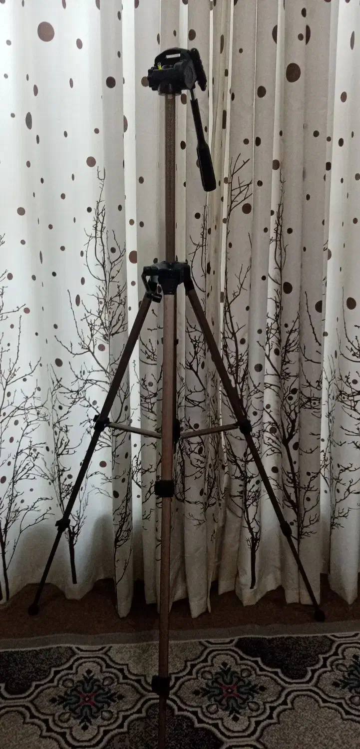 سه پایه دوربین|دوربین عکاسی و فیلم‌برداری|شیراز, کوشک میدان|دیوار