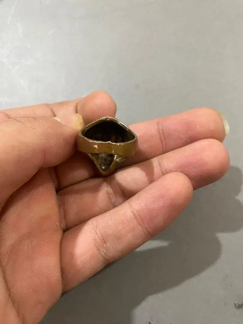 انگشتر گرگ|جواهرات|بندرعباس, |دیوار