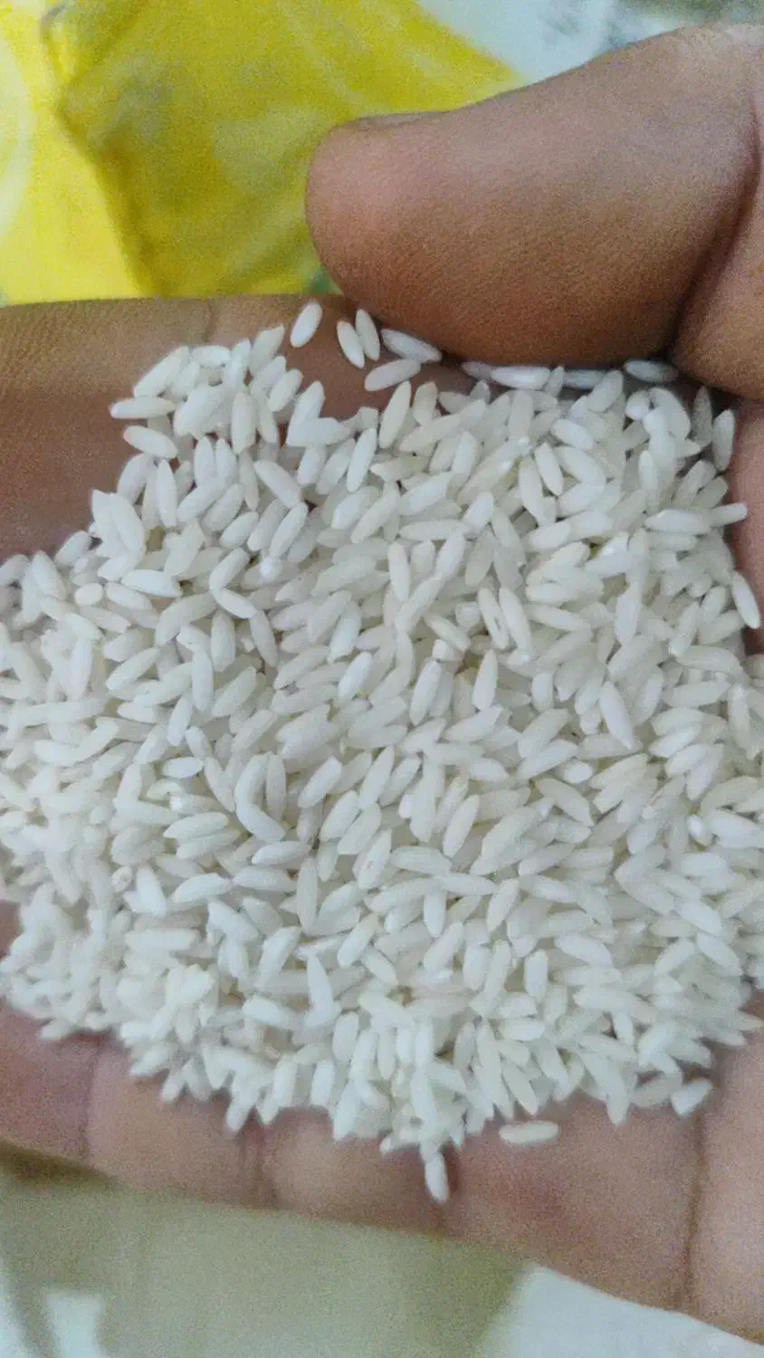 برنج|خوردنی و آشامیدنی|شادگان, |دیوار