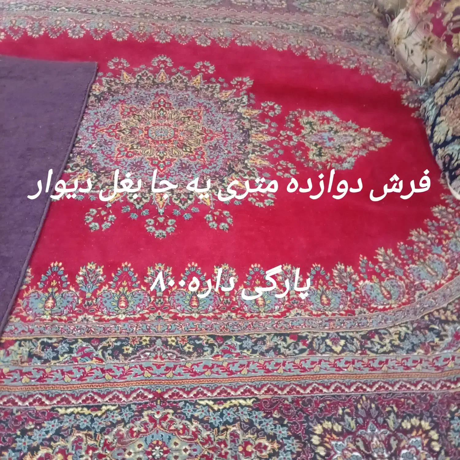 لطفا سوال الکی نپرسین،توضیح داده شده|فرش|میناب, |دیوار