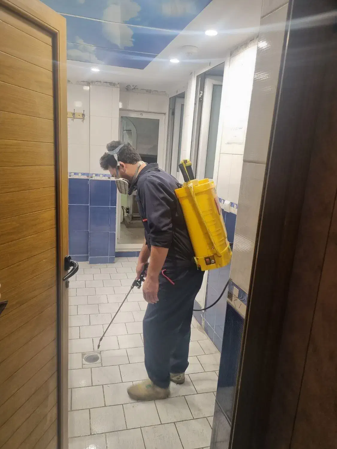 سمپاشی سوسک و طعمه گذاری موش(ساس و غیره)|خدمات نظافت|اسلامشهر, شهرک قائمیه|دیوار