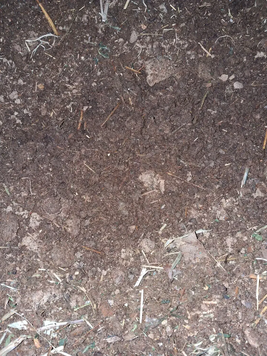 کود گوسفندی|خدمات باغبانی و درختکاری|مبارکه, |دیوار