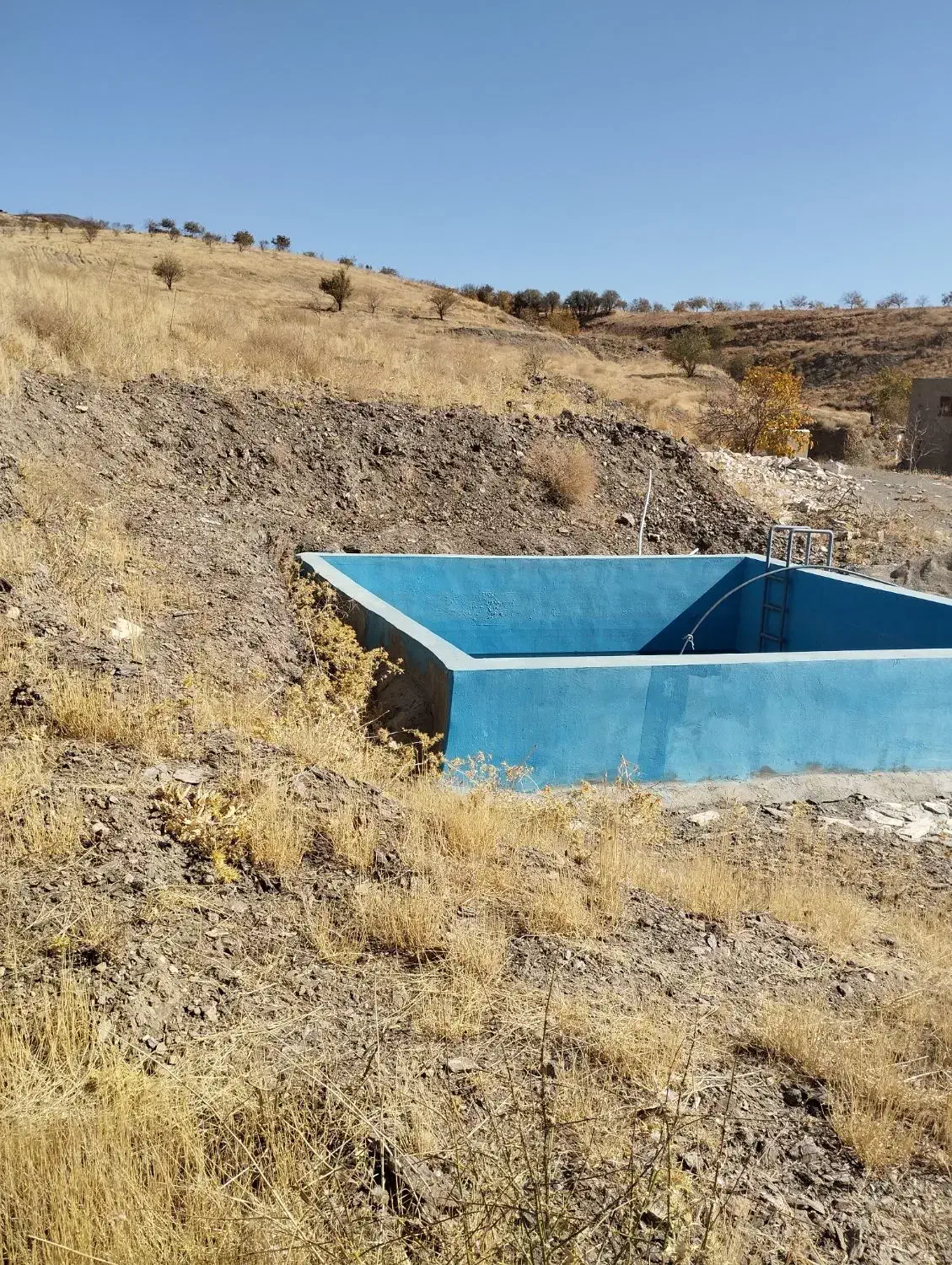 زمین باغی|فروش دفتر صنعتی، کشاورزی، تجاری|همدان, |دیوار