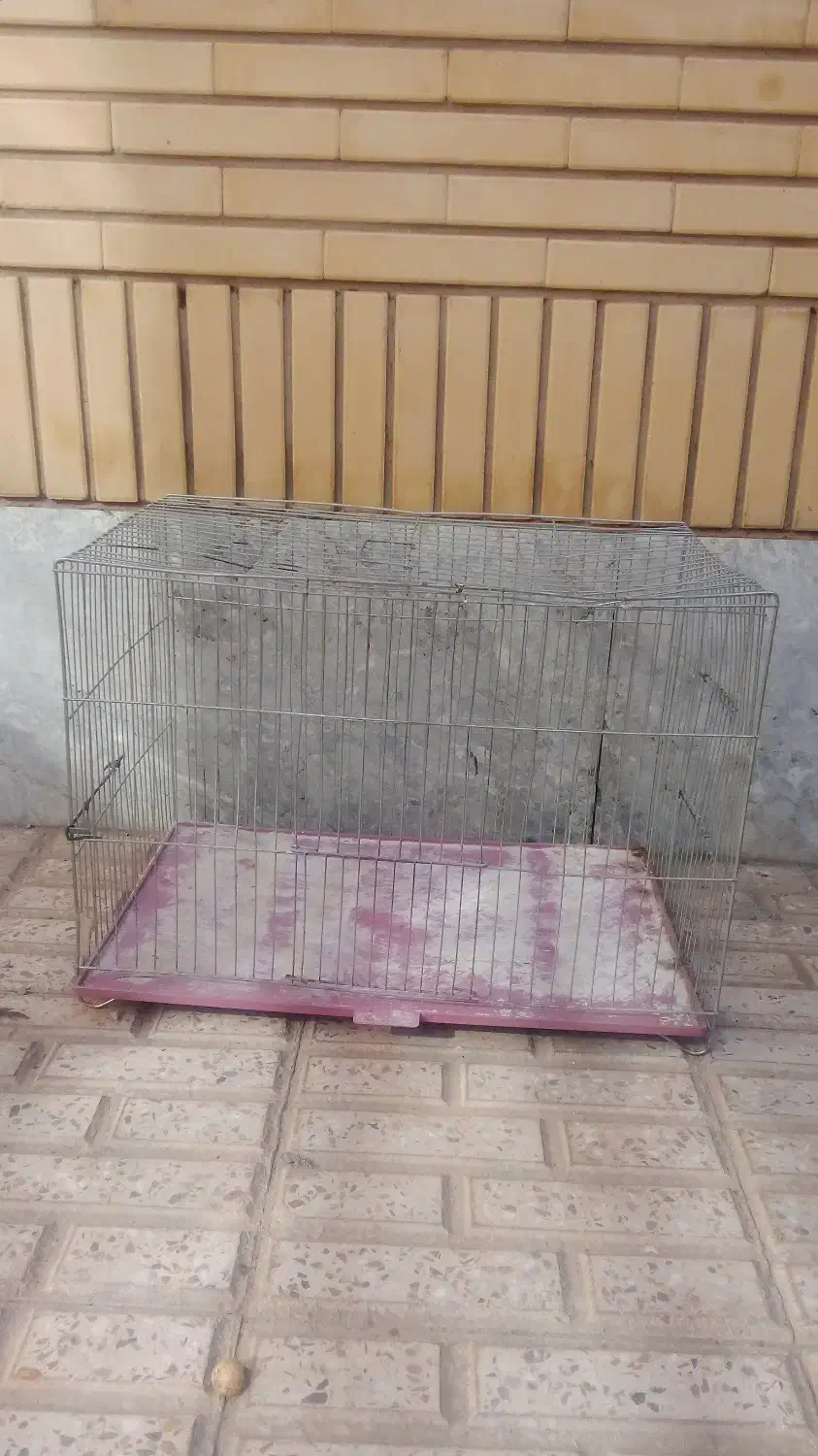 قفس|لوازم جانبی حیوانات|فولادشهر, B2|دیوار