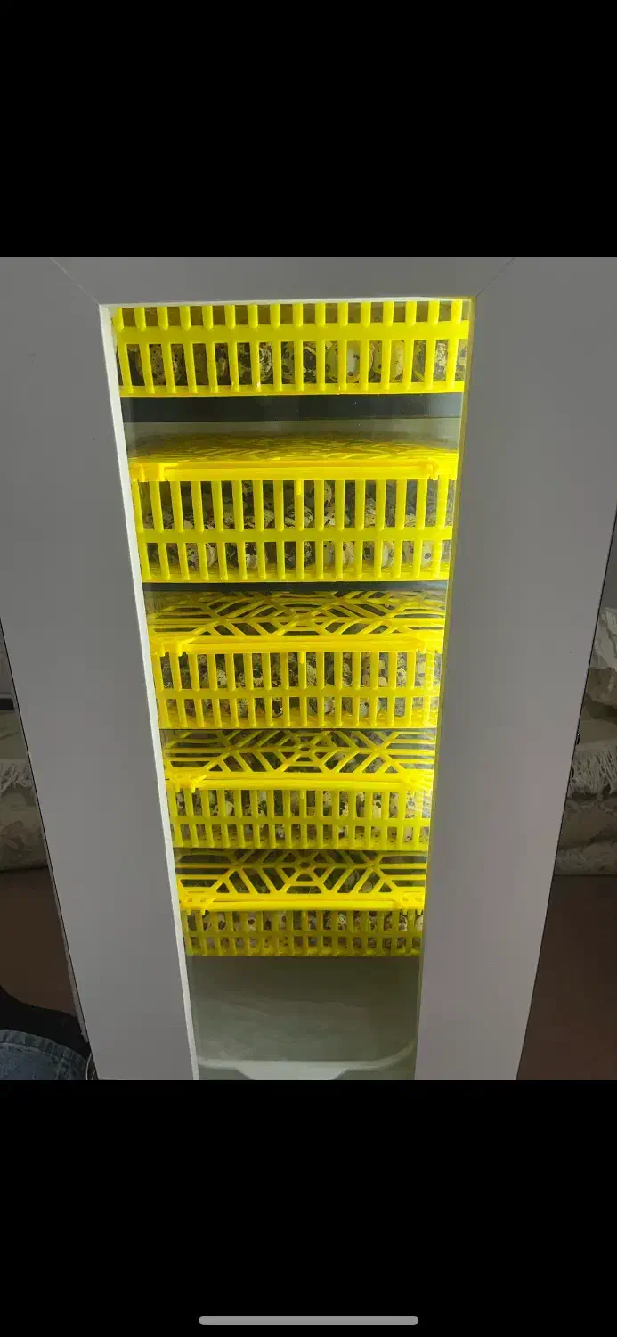 دستگاه جوجه کشی ۲۱۰ تایی هدایت|لوازم جانبی حیوانات|اصفهان, گورتان|دیوار