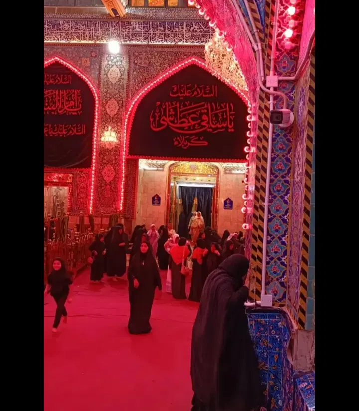تور|تور و چارتر|تربت جام, المهدی|دیوار