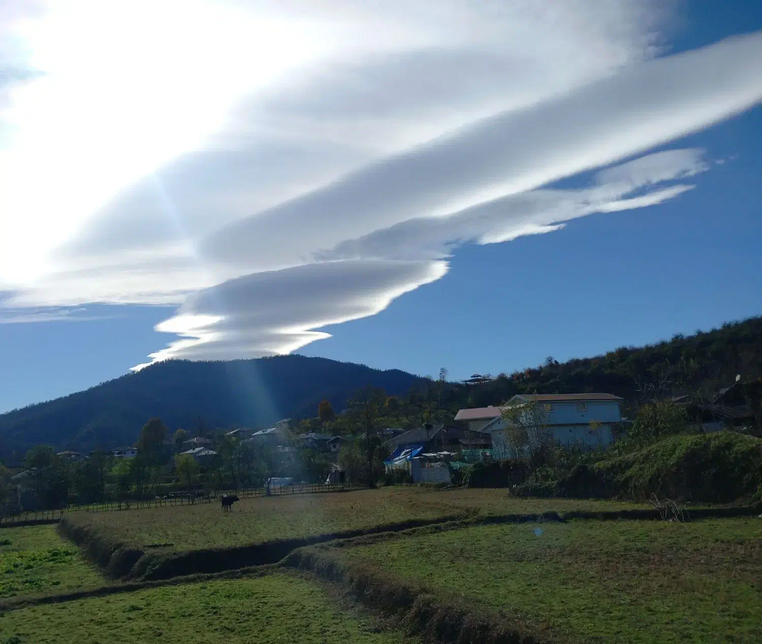 رزرو ویلا دو خواب در ماسال|اجارهٔ کوتاه‌مدت ویلا و باغ|شاندرمن, |دیوار