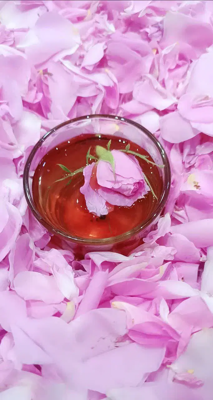 گل محمدی وگلاب دو اتیشه|خوردنی و آشامیدنی|کرمانشاه, |دیوار