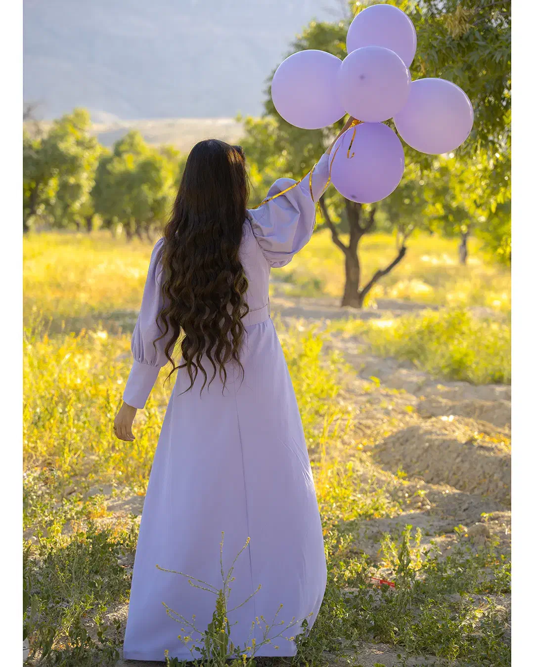 عکاسی و فیلمبرداری|خدمات پذیرایی، مراسم|شیراز, قدوسی شرقی|دیوار