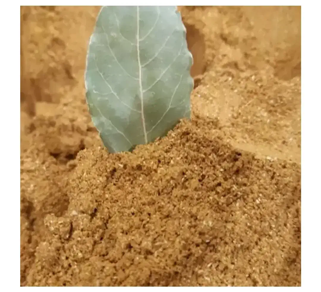 ادویه مخصوص|خوردنی و آشامیدنی|بیرم, |دیوار