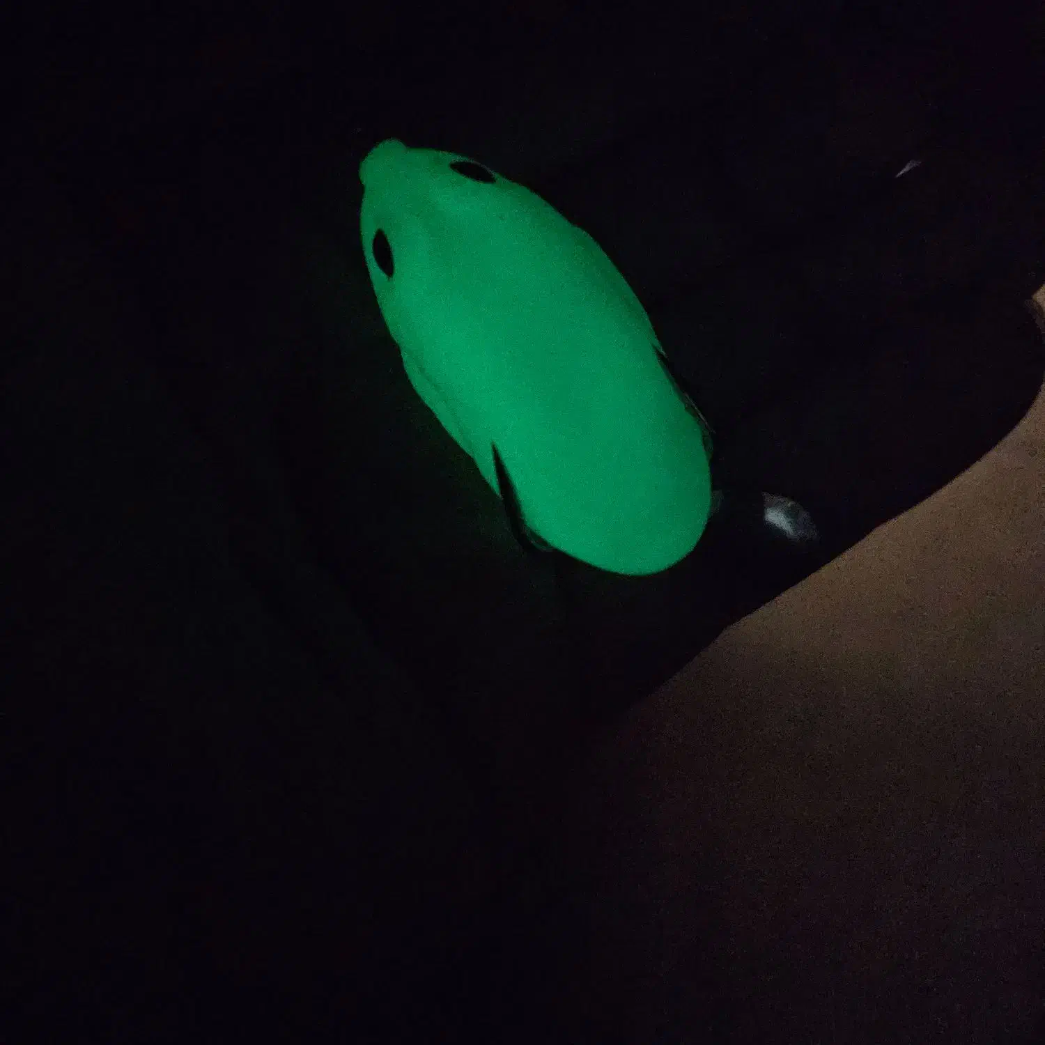 طعمه ماهیگیری قورباقه و لور|ماهیگیری|شهریار, شهریار|دیوار