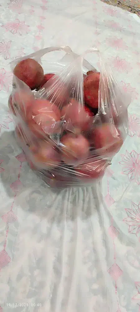 امشب میرم زاهدان نفری 700|خدمات حمل و نقل|بیرجند, |دیوار