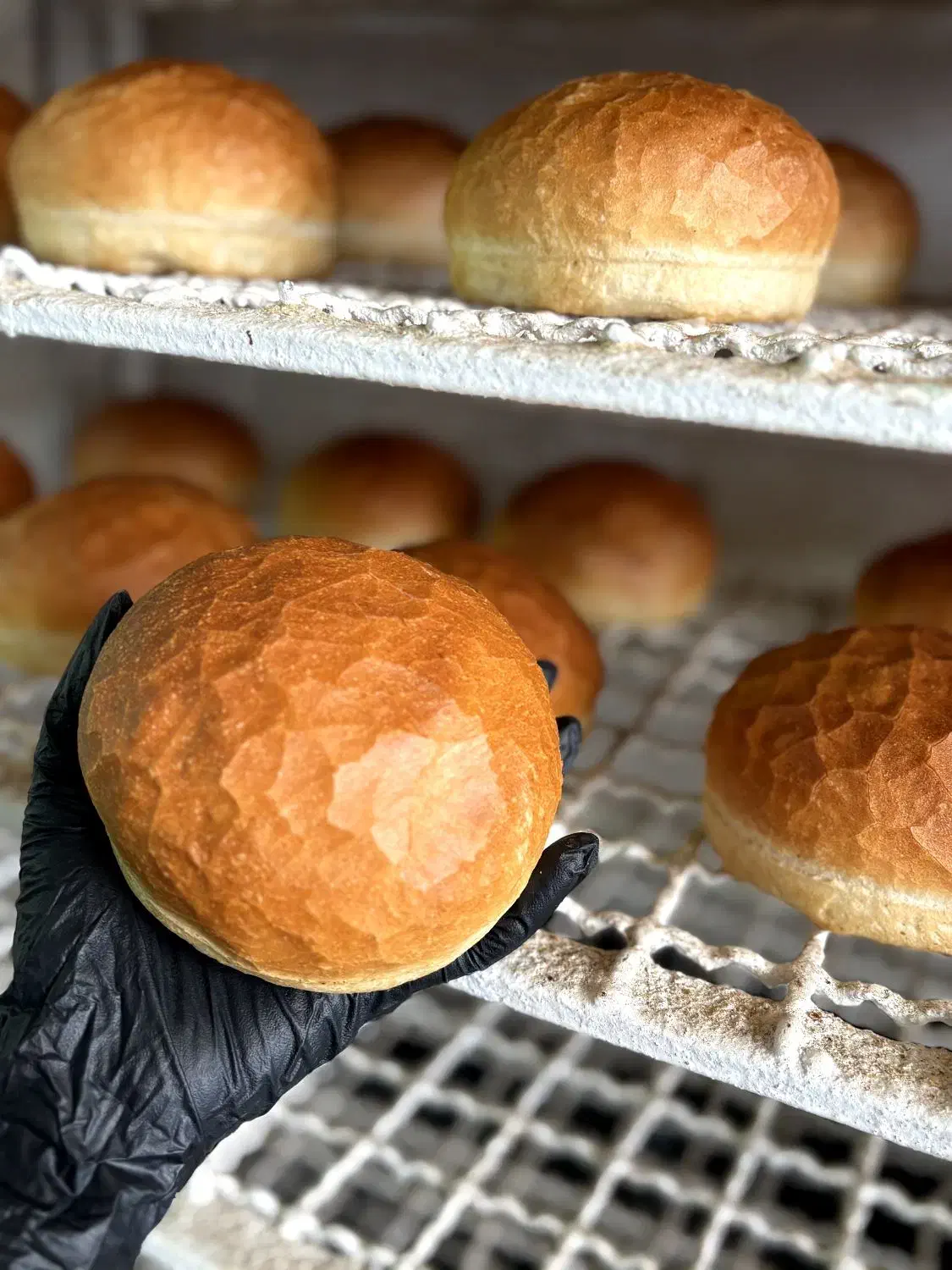 فروشنده خانم جهت کار در نان فانتزی|استخدام خدمات فروشگاه و رستوران|اراک, |دیوار